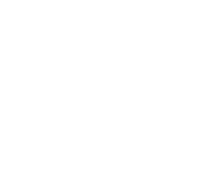 Swinkels Woning Technieken